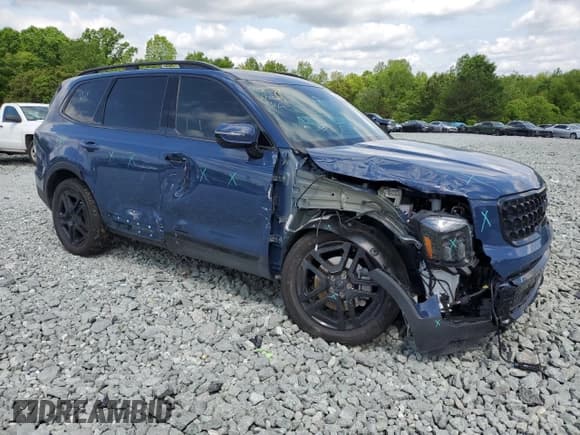 ✅ 2025 Kia Telluride SX X-Line • VIN: 5XYP5DGC0SG568897 • Lot: 54936505. Wystawiony na Copart z przebiegiem 5 146 mil. Bezpłatny archiwum sprzedaży aukcyjnych z USA i szczegółowy raport historii pojazdu na DreamBid. Zdjęcie 4.