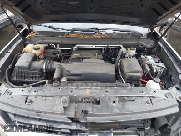 ✅ 2017 Chevrolet Colorado 4WD WT • VIN: 1GCHTBEA0H1156553 • Lot: 43698484. Wystawiony na IAAI z przebiegiem 73 599 mil. Bezpłatny archiwum sprzedaży aukcyjnych z USA i szczegółowy raport historii pojazdu na DreamBid. Zdjęcie 10.