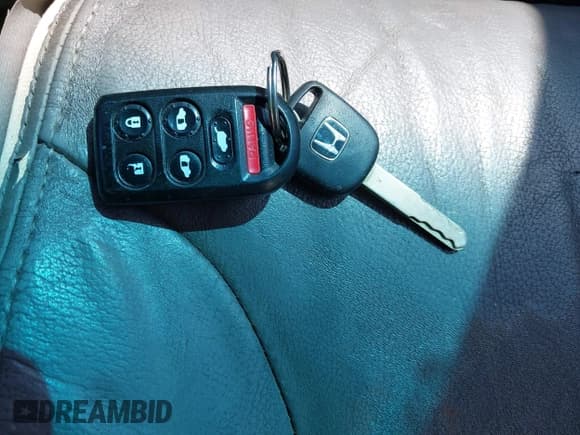 ✅ 2009 Honda Odyssey EX-L • VIN: 5FNRL38719B052351 • Lot: 43007504. Wystawiony na IAAI z przebiegiem 284 958 mil. Bezpłatny archiwum sprzedaży aukcyjnych z USA i szczegółowy raport historii pojazdu na DreamBid. Zdjęcie 11.