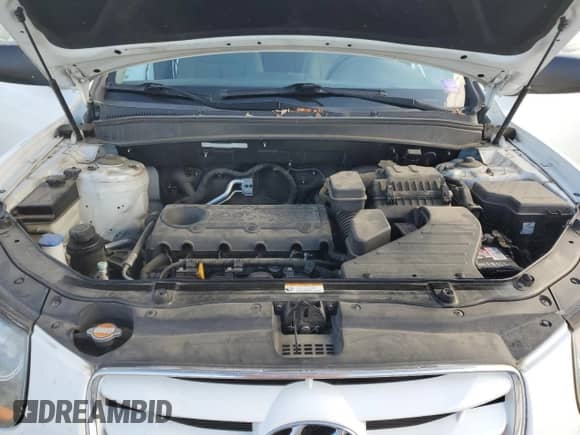 ✅ 2010 Hyundai Santa Fe GLS • VIN: 5NMSGDAB7AH366485 • Lot: 90644945. Wystawiony na Copart z przebiegiem 96 405 mil mil. Skorzystaj z bezpłatnego archiwum sprzedaży aukcyjnych z USA i zobacz szczegółowy raport historii pojazdu na DreamBid. Zdjęcie 11.