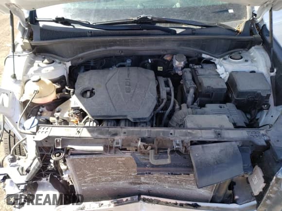 ✅ 2021 Hyundai Santa Fe SEL • VIN: 5NMS34AJ8MH336614 • Lot: 53413084. Wystawiony na Copart z przebiegiem 58 038 mil. Bezpłatny archiwum sprzedaży aukcyjnych z USA i szczegółowy raport historii pojazdu na DreamBid. Zdjęcie 11.