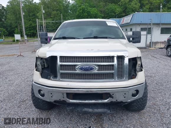 ✅ 2009 Ford F-150 XL • VIN: 1FTPW14VX9KB41670 • Lot: 42246163. Listed on IAAI with 214,499 mi. Free auction sales archive from the USA and detailed vehicle history report at DreamBid. Image 13.