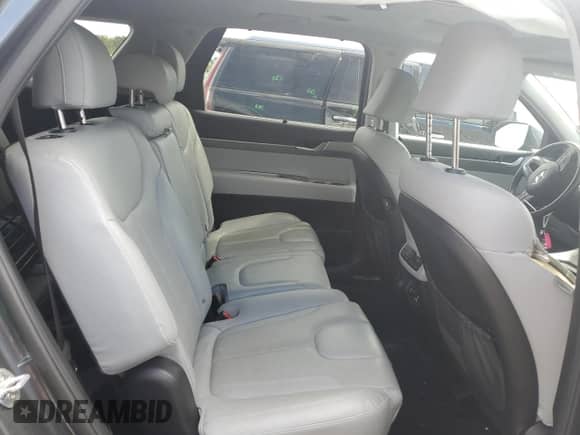 2020 Hyundai Palisade SEL with VIN KM8R4DHE7LU149954, listed as a Copart auction lot 70291804 with 48,488 mi miles and Salvage title. Bid and sale history available at DreamBid. Image 11.