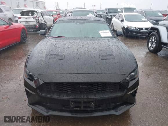 2023 Ford Mustang EcoBoost Premium с VIN 1FA6P8THXP5111826, выставлен на аукционе IAAI как лот 42608863 с пробегом 31 408 миль миль и . История ставок и продаж доступна на DreamBid. Изображение 13.