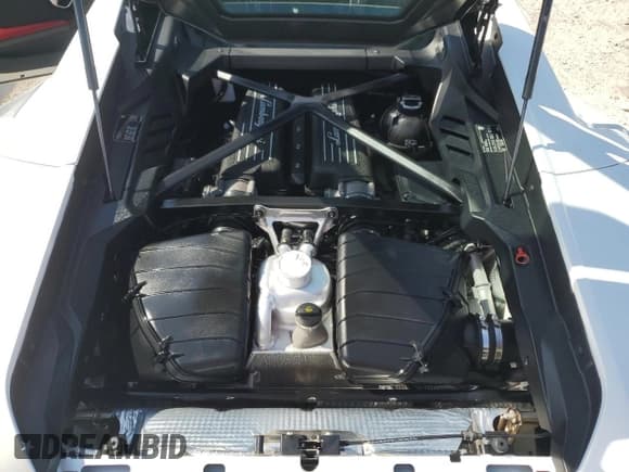 ✅ 2024 Lamborghini Huracan Tecnica • VIN: ZHWUB6ZF2RLA25686 • Lot: 76254494. Wystawiony na Copart z przebiegiem Nie podano. Bezpłatny archiwum sprzedaży aukcyjnych z USA i szczegółowy raport historii pojazdu na DreamBid. Zdjęcie 11.