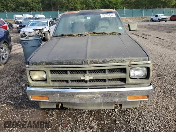 1991 Chevrolet S-10 EL X81 with VIN 1GCCT14ZXM0188776, listed as a Copart auction lot 78316434 with 266,519 mi miles and Clean title. Bid and sale history available at DreamBid. Image 5.