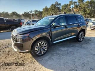 ✅ 2023 Hyundai Santa Fe Calligraphy • VIN: 5NMS5DAL6PH643943 • Lot: 93630025. Wystawiony na Copart z przebiegiem 33 221 mil. Bezpłatny archiwum sprzedaży aukcyjnych z USA i szczegółowy raport historii pojazdu na DreamBid. Zdjęcie 1.