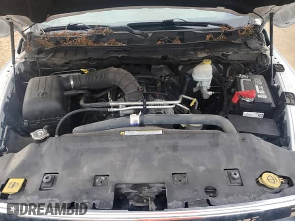 2009 Dodge 1500 Sport с VIN 1D3HB13T59J511209, выставлен на аукционе Copart как лот 53886505 с пробегом 170 387 миль миль и Списание • Salvage title. История ставок и продаж доступна на DreamBid. Изображение 11.