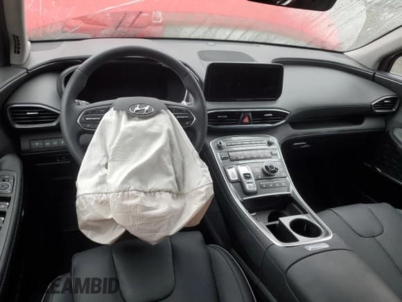 ✅ 2023 Hyundai Santa Fe Limited • VIN: 5NMS5DA17PH009815 • Lot: 63044353. Wystawiony na Copart z przebiegiem Nie podano. Bezpłatny archiwum sprzedaży aukcyjnych z USA i szczegółowy raport historii pojazdu na DreamBid. Zdjęcie 8.