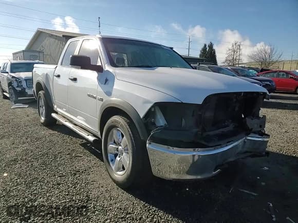 ✅ 2010 Dodge 1500 SLT • VIN: 1D7RV1GT5AS202911 • Lot: 41792975. Wystawiony na Copart z przebiegiem 227 118 mil. Bezpłatny archiwum sprzedaży aukcyjnych z USA i szczegółowy raport historii pojazdu na DreamBid. Zdjęcie 11.