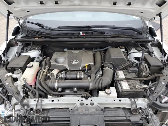 ✅ 2021 Lexus NX 300 F Sport • VIN: JTJSARDZ4M2237469 • Лот: 86081535. Опубликован ранее на Copart с пробегом 50 712 миль. Бесплатный доступ к архиву аукционных продаж из США и подробный отчёт об истории автомобиля на DreamBid. Изображение 12.