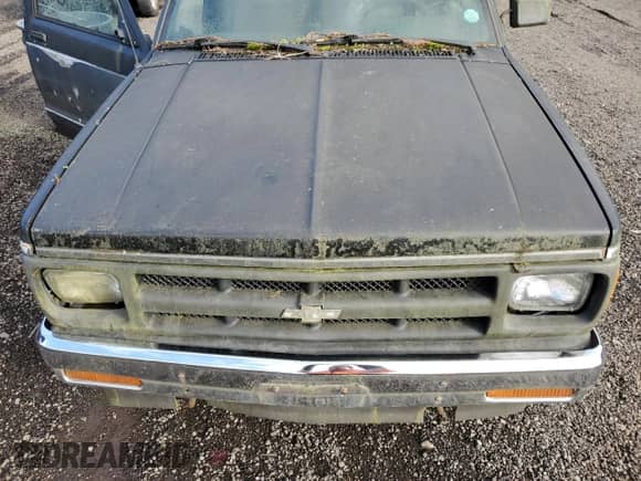 1991 Chevrolet S-10 EL X81 with VIN 1GCCT14ZXM0188776, listed as a Copart auction lot 78316434 with 266,519 mi miles and Clean title. Bid and sale history available at DreamBid. Image 11.