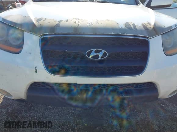 ✅ 2009 Hyundai Santa Fe SE • VIN: 5NMSH13E79H255563 • Lot: 43142076. Listed on IAAI with 195,510 mi. Free auction sales archive from the USA and detailed vehicle history report at DreamBid. Image 6.