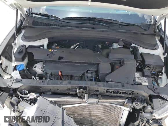 ✅ 2019 Hyundai Santa Fe Ultimate • VIN: 5NMS53AD7KH123584 • Lot: 63438963. Wystawiony na Copart z przebiegiem 32 710 mil. Bezpłatny archiwum sprzedaży aukcyjnych z USA i szczegółowy raport historii pojazdu na DreamBid. Zdjęcie 12.