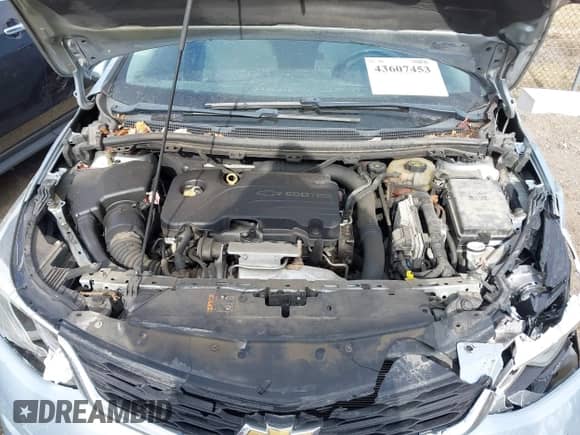 2017 Chevrolet Cruze LT z VIN 1G1BE5SMXH7277015, wystawiony jako IAAI lot #43607453 z przebiegiem 252 445 mil mil oraz . Historia ofert i sprzedaży dostępna na DreamBid. Obrazek 10.