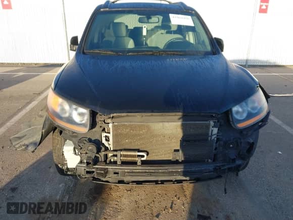 2009 Hyundai Santa Fe Limited with VIN 5NMSH13E19H315806, listed as a IAAI auction lot 43469450 with 150,424 mi miles and . Bid and sale history available at DreamBid. Image 6.