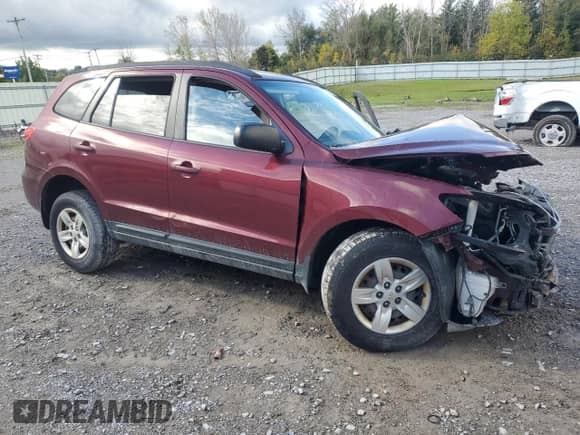 2009 Hyundai Santa Fe GLS with VIN 5NMSG13D09H305987, listed as a Copart auction lot 74473374 with Not provided miles and Salvage title. Bid and sale history available at DreamBid. Image 4.