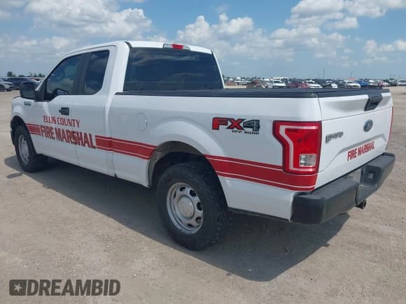 ✅ 2017 Ford F-150 XL • VIN: 1FTEX1EP3HKD16134 • Lot: 42905846. Listed on IAAI with 164,906 mi. Free auction sales archive from the USA and detailed vehicle history report at DreamBid. Image 3.