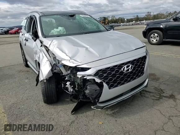 2020 Hyundai Santa Fe SEL with VIN 5NMS3CAA6LH149476, listed as a Copart auction lot 82646325 with Not provided miles and Salvage title. Bid and sale history available at DreamBid. Image 14.