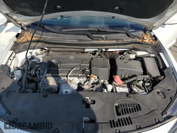 ✅ 2020 Acura ILX • VIN: 19UDE2F3XLA003472 • Lot: 80575655. Wystawiony na Copart z przebiegiem 29 490 mil. Bezpłatny archiwum sprzedaży aukcyjnych z USA i szczegółowy raport historii pojazdu na DreamBid. Zdjęcie 11.