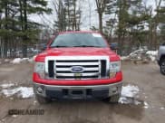 ✅ 2010 Ford F-150 XL • VIN: 1FTFX1EV9AFA57974 • Lot: 43888552. Wystawiony na IAAI z przebiegiem 135 796 mil. Bezpłatny archiwum sprzedaży aukcyjnych z USA i szczegółowy raport historii pojazdu na DreamBid. Zdjęcie 12.