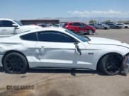 ✅ 2021 Ford Mustang GT • VIN: 1FA6P8CF8M5152823 • Lot: 42748118. Listed on IAAI with Not provided. Free auction sales archive from the USA and detailed vehicle history report at DreamBid. Image 14.