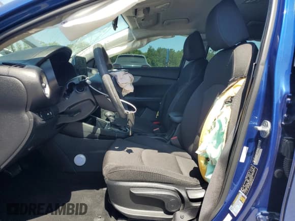 ✅ 2019 Kia Forte LXS • VIN: 3KPF24AD3KE024123 • Lot: 57303815. Listed on Copart with 72,922 mi. Free auction sales archive from the USA and detailed vehicle history report at DreamBid. Image 7.