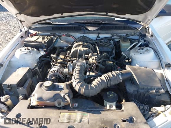 ✅ 2006 Ford Mustang Standard • VIN: 1ZVFT84N365188981 • Лот: 41144444. Опубликован ранее на IAAI с пробегом 138 311 миль. Бесплатный доступ к архиву аукционных продаж из США и подробный отчёт об истории автомобиля на DreamBid. Изображение 10.