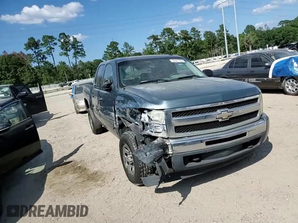 ✅ 2009 Chevrolet Silverado 1500 LS • VIN: 3GCEC13C29G264354 • Lot: 72361784. Listed on Copart with 228,216 mi. Free auction sales archive from the USA and detailed vehicle history report at DreamBid. Image 11.