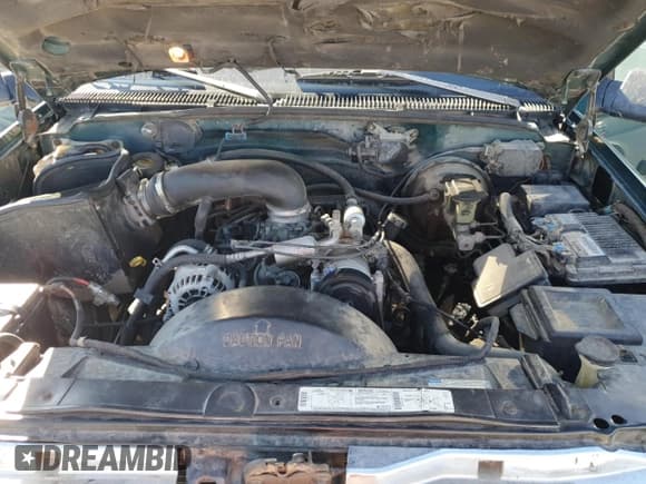 ✅ 1996 Chevrolet Silverado 1500 • VIN: 1GCEK19R8TE248821 • Lot: 82132615. Wystawiony na Copart z przebiegiem 291 896 mil. Bezpłatny archiwum sprzedaży aukcyjnych z USA i szczegółowy raport historii pojazdu na DreamBid. Zdjęcie 11.