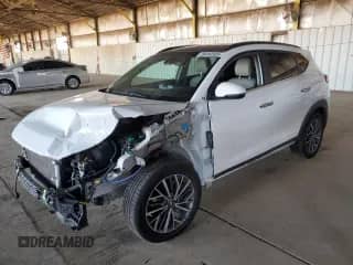 2021 Hyundai Tucson Limited с VIN KM8J3CAL1MU373256, выставлен на аукционе Copart как лот 89480585 с пробегом 57 730 миль миль и Списание • Salvage title. История ставок и продаж доступна на DreamBid. Изображение 1.