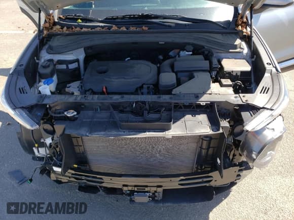 ✅ 2020 Hyundai Santa Fe SE • VIN: 5NMS2CAD8LH245350 • Lot: 47777883. Wystawiony na Copart z przebiegiem 30 300 mil. Bezpłatny archiwum sprzedaży aukcyjnych z USA i szczegółowy raport historii pojazdu na DreamBid. Zdjęcie 11.