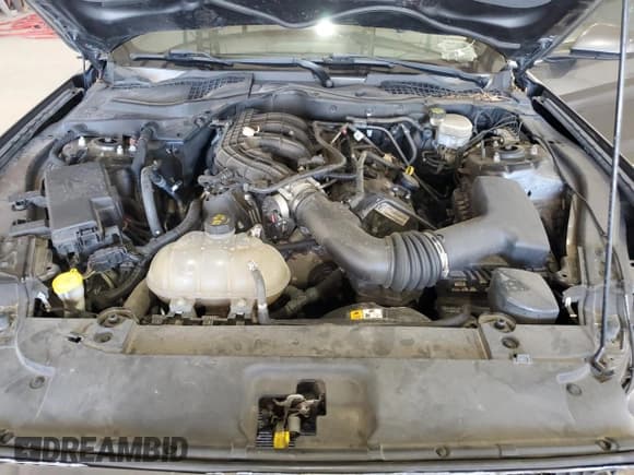 ✅ 2015 Ford Mustang V6 • VIN: 1FA6P8AM7F5357389 • Lot: 91036255. Listed on Copart with 161,980 mi. Free auction sales archive from the USA and detailed vehicle history report at DreamBid. Image 11.