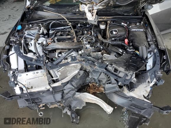 ✅ 2025 Acura Integra Technology • VIN: 19UDE4H64SA002626 • Лот: 83923945. Опубликован ранее на Copart с пробегом Не указан. Бесплатный доступ к архиву аукционных продаж из США и подробный отчёт об истории автомобиля на DreamBid. Изображение 11.