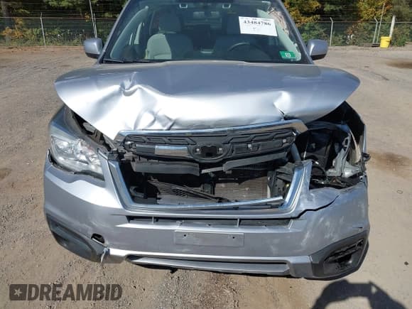 ✅ 2018 Subaru Forester Premium • VIN: JF2SJAGCXJH602288 • Lot: 43484786. Wystawiony na IAAI z przebiegiem 48 001 mil. Bezpłatny archiwum sprzedaży aukcyjnych z USA i szczegółowy raport historii pojazdu na DreamBid. Zdjęcie 6.