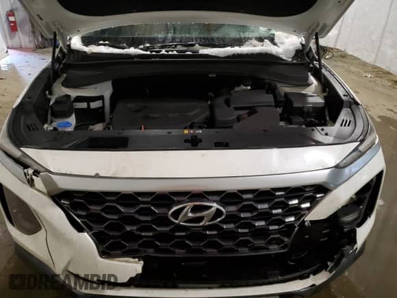 2019 Hyundai Santa Fe SEL z VIN 5NMS3CAD7KH075431, wystawiony jako Copart lot #38396063 z przebiegiem 48 513 mil mil oraz . Historia ofert i sprzedaży dostępna na DreamBid. Obrazek 12.