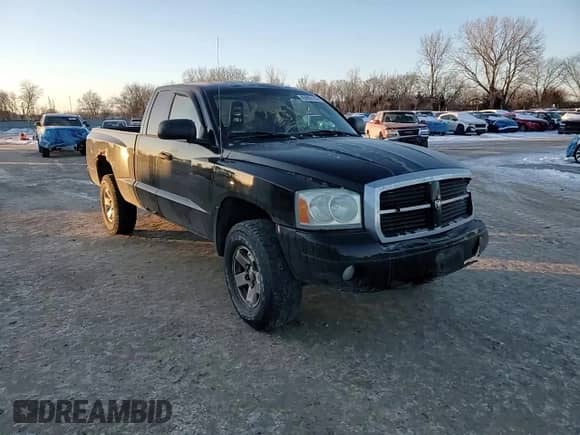 2006 Dodge Dakota SLT with VIN 1D7HW42NX6S516046, listed as a Copart auction lot 45693175 with 151,044 mi miles and Salvage title. Bid and sale history available at DreamBid. Image 11.