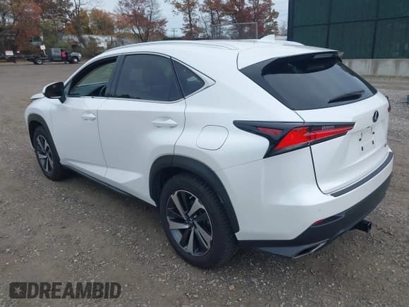 ✅ 2018 Lexus NX 300 • VIN: JTJBARBZ0J2156113 • Lot: 43595669. Listed on IAAI with 86,444 mi. Free auction sales archive from the USA and detailed vehicle history report at DreamBid. Image 3.