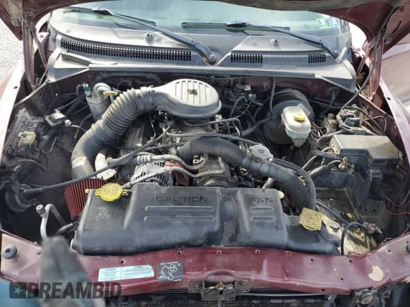 ✅ 2000 Dodge Dakota Sport • VIN: 1B7HG2AZ4YS710316 • Lot: 51082985. Wystawiony na Copart z przebiegiem 212 932 mil. Bezpłatny archiwum sprzedaży aukcyjnych z USA i szczegółowy raport historii pojazdu na DreamBid. Zdjęcie 11.