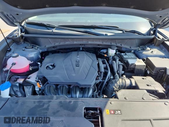 ✅ 2025 Hyundai Tucson SEL • VIN: 5NMJB3DE4SH508755 • Лот: 71928225. Опубликован ранее на Copart с пробегом 7 210 миль. Бесплатный доступ к архиву аукционных продаж из США и подробный отчёт об истории автомобиля на DreamBid. Изображение 12.