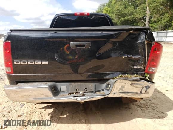 2003 Dodge 1500 ST с VIN 1D7HA18D23S222132, выставлен на аукционе Copart как лот 71686924 с пробегом 300 043 миль миль и Списание • Salvage title. История ставок и продаж доступна на DreamBid. Изображение 6.