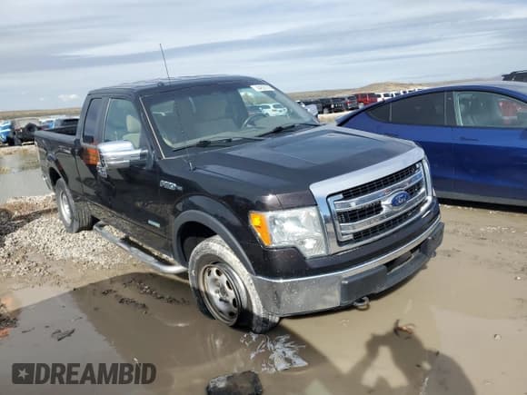 ✅ 2013 Ford F-150 XL • VIN: 1FTFX1ET5DFA24781 • Лот: 84938745. Опубликован ранее на Copart с пробегом 103 104 миль. Бесплатный доступ к архиву аукционных продаж из США и подробный отчёт об истории автомобиля на DreamBid. Изображение 4.