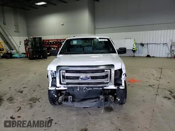 ✅ 2014 Ford F-150 XL • VIN: 1FTFX1CF1EKE75289 • Lot: 44131305. Listed on Copart with 197,937 mi. Free auction sales archive from the USA and detailed vehicle history report at DreamBid. Image 11.