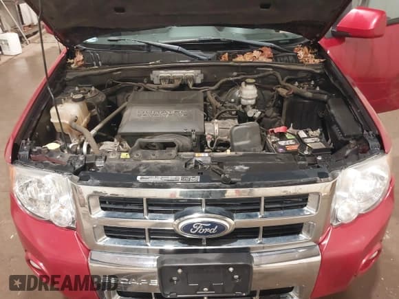 ✅ 2011 Ford Escape Limited • VIN: 1FMCU9EG6BKA22096 • Lot: 43634588. Wystawiony na IAAI z przebiegiem 129 157 mil. Bezpłatny archiwum sprzedaży aukcyjnych z USA i szczegółowy raport historii pojazdu na DreamBid. Zdjęcie 10.