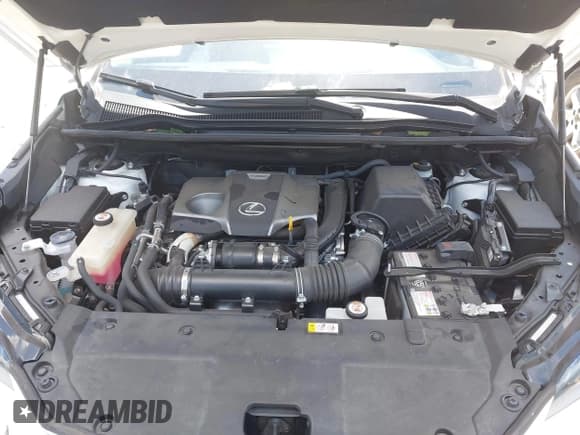 ✅ 2020 Lexus NX 300 • VIN: JTJGARBZ7L5017636 • Lot: 42167762. Listed on IAAI with 62,529 mi. Free auction sales archive from the USA and detailed vehicle history report at DreamBid. Image 10.