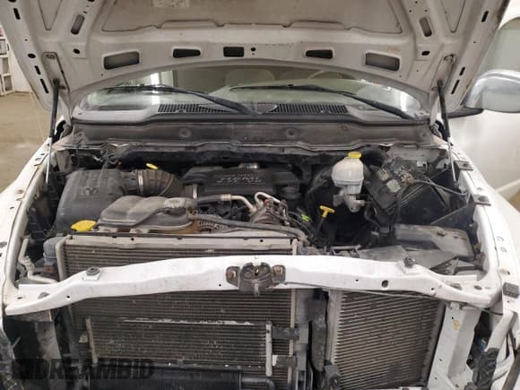 ✅ 2003 Dodge 1500 ST • VIN: 1D7HU16D73J643814 • Лот: 43003625. Опубликован ранее на Copart с пробегом 148 561 миль. Бесплатный доступ к архиву аукционных продаж из США и подробный отчёт об истории автомобиля на DreamBid. Изображение 11.