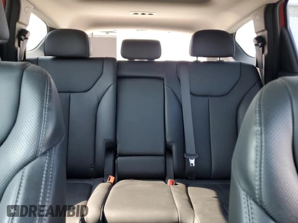 ✅ 2023 Hyundai Santa Fe SEL Premium • VIN: 5NMS3DA12PH003474 • Lot: 69751374. Wystawiony na Copart z przebiegiem 18 316 mil. Bezpłatny archiwum sprzedaży aukcyjnych z USA i szczegółowy raport historii pojazdu na DreamBid. Zdjęcie 10.