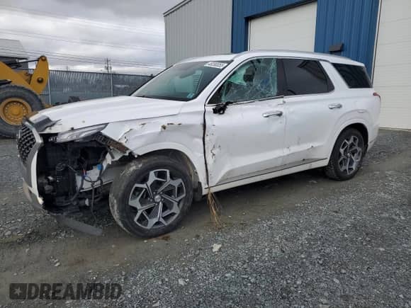 2022 Hyundai Palisade Limited with VIN KM8R5DHE7NU358918, listed as a Copart auction lot 48280055 with 62,795 mi miles and Salvage title. Bid and sale history available at DreamBid. Image 1.