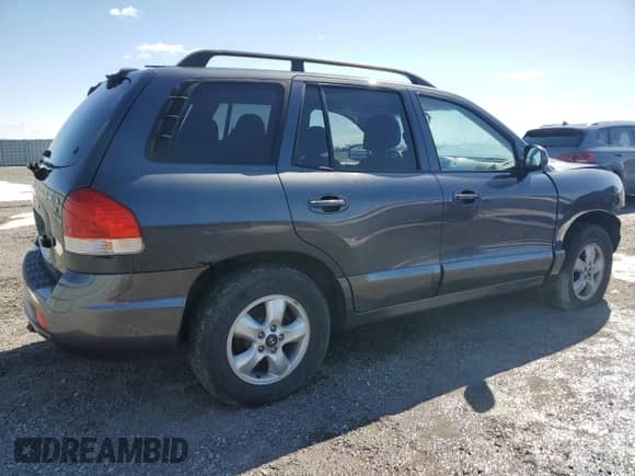 2005 Hyundai Santa Fe с VIN KM8SB13D95U021903, выставлен на аукционе Copart как лот 51082975 с пробегом 313 058 миль миль и Списание • Salvage title. История ставок и продаж доступна на DreamBid. Изображение 3.