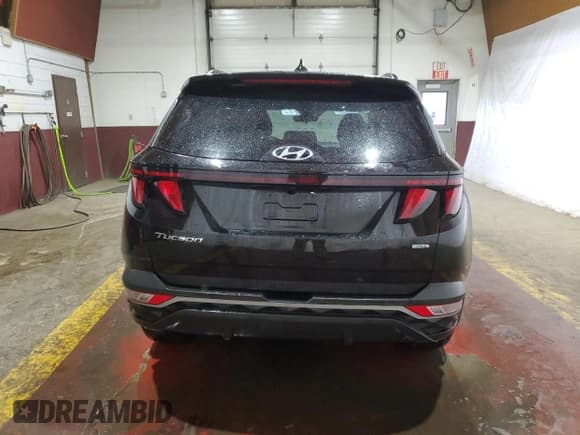 ✅ 2024 Hyundai Tucson SEL • VIN: KM8JBCDE8RU284145 • Lot: 75841274. Wystawiony na Copart z przebiegiem 23 805 mil. Bezpłatny archiwum sprzedaży aukcyjnych z USA i szczegółowy raport historii pojazdu na DreamBid. Zdjęcie 6.